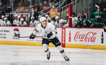 Charlotte Checkers hockey game